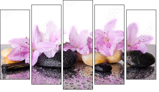 Pink flowers and black stones  - Obraz pięcioczęściowy, Pentaptyk
