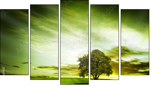 Green nature  - Obraz pięcioczęściowy, Pentaptyk