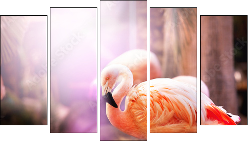 Flamingo  - Obraz pięcioczęściowy, Pentaptyk