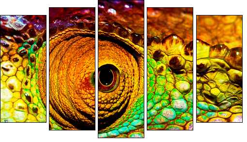 Reptilian eye  - Obraz pięcioczęściowy, Pentaptyk