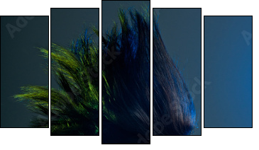Beautiful woman with fashion hairstyle  - Obraz pięcioczęściowy, Pentaptyk