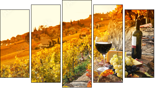 Glass of red wine on the terrace vineyard in Lavaux region, Swit  - Obraz pięcioczęściowy, Pentaptyk