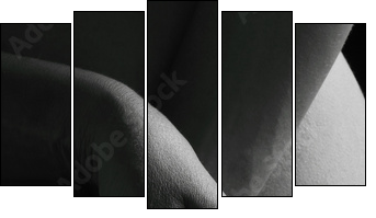 nu artistique femme noir et blanc mains  - Obraz pięcioczęściowy, Pentaptyk