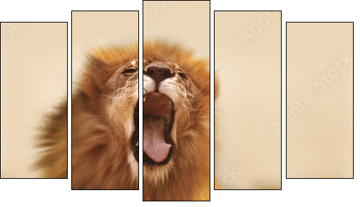 Lion  - Obraz pięcioczęściowy, Pentaptyk