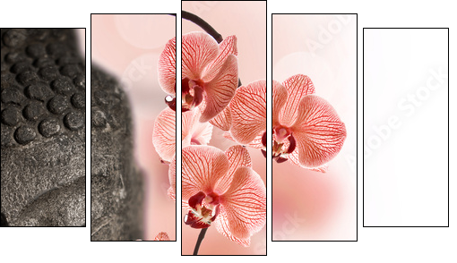 Bouddha et orchidÃ©e rouge  - Obraz pięcioczęściowy, Pentaptyk