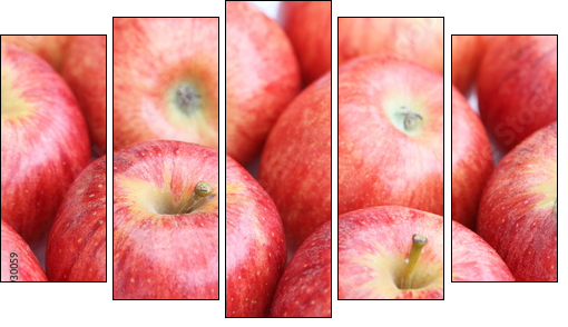 Aromatyczne owoce - soczyste jabłka - Obraz pięcioczęściowy, Pentaptyk