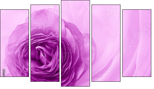 flower petal on soft satin  - Obraz pięcioczęściowy, Pentaptyk