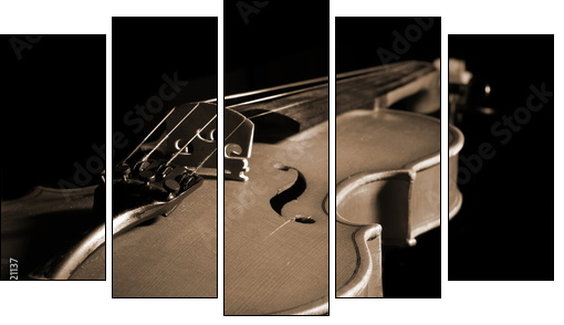 violin isolated on black  - Obraz pięcioczęściowy, Pentaptyk