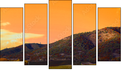 Romantyczna winnica o zachodzie słońca
 - Obraz pięcioczęściowy, Pentaptyk