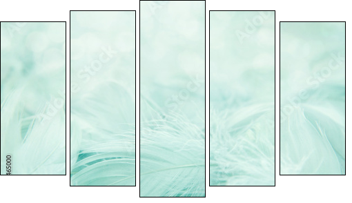 Soft fluffy feathers  - Obraz pięcioczęściowy, Pentaptyk