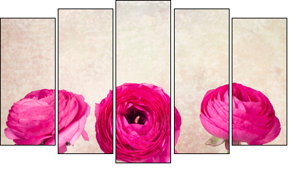 Three single ranunculus flowers on vintage background  - Obraz pięcioczęściowy, Pentaptyk