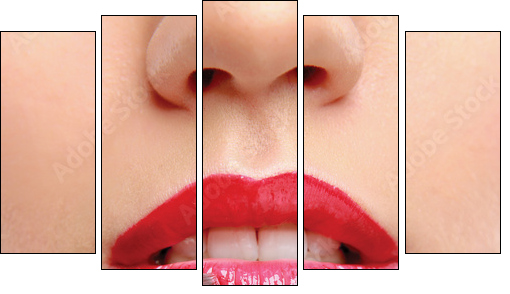 Woman's lips holding make up brush  - Obraz pięcioczęściowy, Pentaptyk