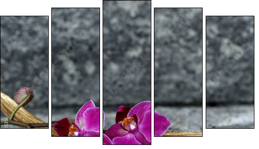 OrchideenblÃ¼te in einer Palmblattschale  - Obraz pięcioczęściowy, Pentaptyk