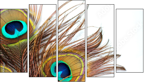 Kolorowe trio oczek pawich - Obraz pięcioczęściowy, Pentaptyk