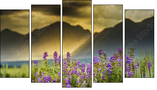 Purple Lupines in the Tetons  - Obraz pięcioczęściowy, Pentaptyk