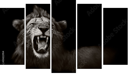 Lion displaying dangerous teeth  - Obraz pięcioczęściowy, Pentaptyk
