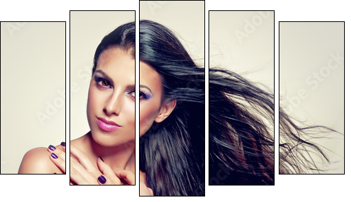 Beautiful brunette with long hair flying  - Obraz pięcioczęściowy, Pentaptyk