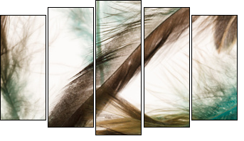 Color feathers  - Obraz pięcioczęściowy, Pentaptyk