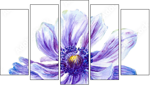 Japanese Anemones flower. Watercolor.  - Obraz pięcioczęściowy, Pentaptyk