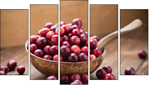 Cranberries.  - Obraz pięcioczęściowy, Pentaptyk