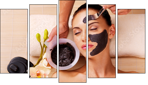 Cosmetologist smears cosmetic mask on the face of  woman  - Obraz pięcioczęściowy, Pentaptyk