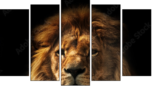 Lion portrait with rich mane on black  - Obraz pięcioczęściowy, Pentaptyk