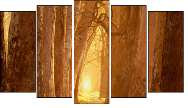 Ciepła jesień – leśna droga
 - Obraz pięcioczęściowy, Pentaptyk