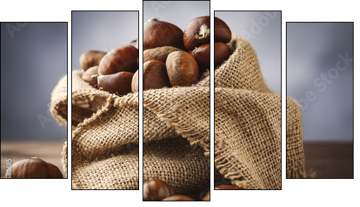 chestnuts in jute  - Obraz pięcioczęściowy, Pentaptyk