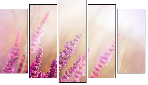 Wild flower (meadow flower)  - Obraz pięcioczęściowy, Pentaptyk