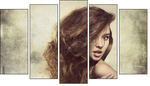 sexy lady with bushy hair  - Obraz pięcioczęściowy, Pentaptyk