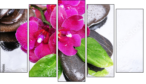 Composition with beautiful blooming orchid with water drops and  - Obraz pięcioczęściowy, Pentaptyk