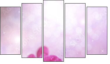 Beautiful blooming orchid  on light color background  - Obraz pięcioczęściowy, Pentaptyk