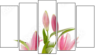 Dostojna różowa lilia - Obraz pięcioczęściowy, Pentaptyk