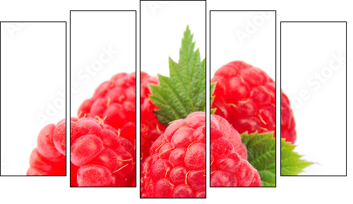 Sweet raspberry with leafs  - Obraz pięcioczęściowy, Pentaptyk