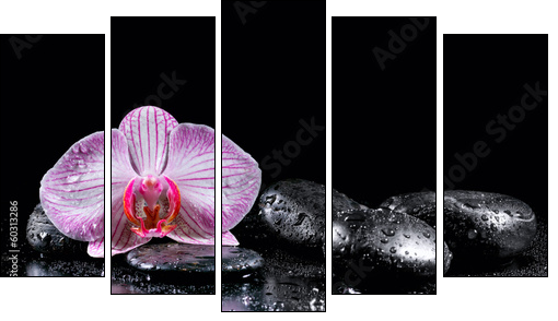 Orchid flower with zen stones on black background  - Obraz pięcioczęściowy, Pentaptyk
