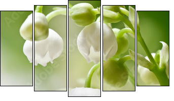 Delicate flowers on a branch of lily of the valley  - Obraz pięcioczęściowy, Pentaptyk