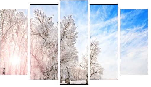 Winter time with river, trees and bright sun on a side  - Obraz pięcioczęściowy, Pentaptyk