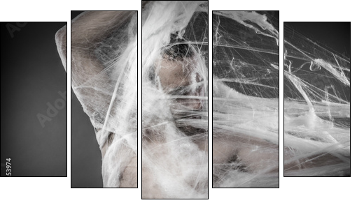 Trap.man tangled in huge white spider web  - Obraz pięcioczęściowy, Pentaptyk