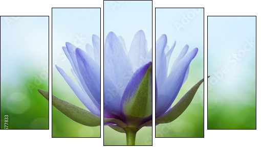 Blue lotus on spring background  - Obraz pięcioczęściowy, Pentaptyk
