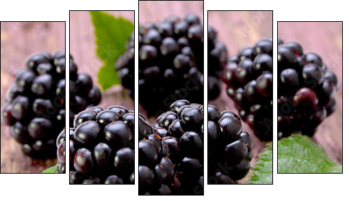 Balckberry fruit closeup  - Obraz pięcioczęściowy, Pentaptyk