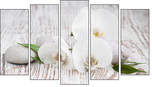 Orchids spa - Obraz pięcioczęściowy, Pentaptyk