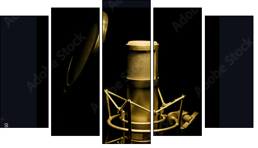 golden microphone isolated on black background  - Obraz pięcioczęściowy, Pentaptyk