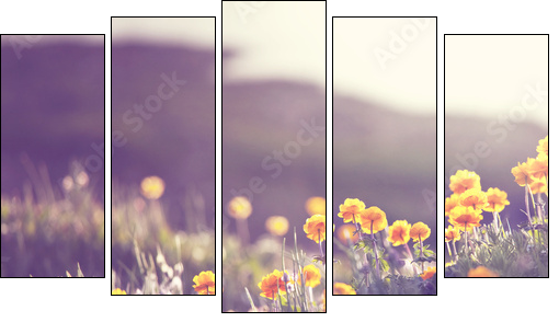 Sunny meadow  - Obraz pięcioczęściowy, Pentaptyk