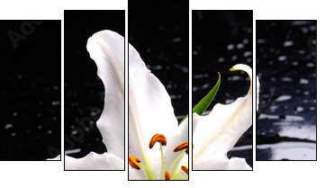 Macro of white lily with therapy stones  - Obraz pięcioczęściowy, Pentaptyk
