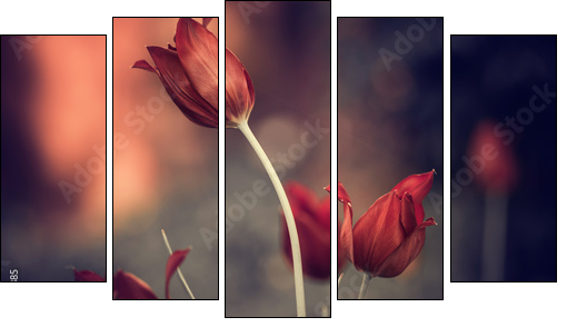 red garden tulips  - Obraz pięcioczęściowy, Pentaptyk