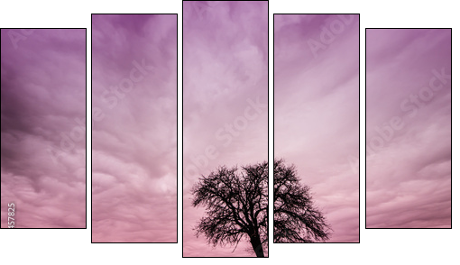 Lawendowa mgła – Prowansja o poranku
 - Obraz pięcioczęściowy, Pentaptyk