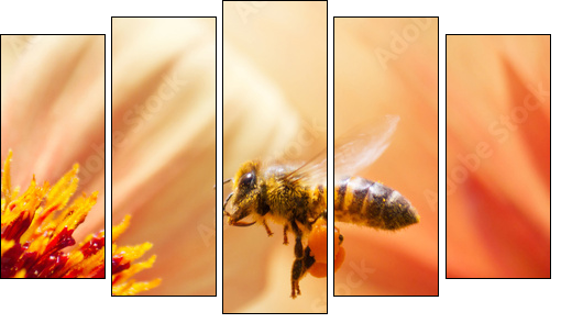 Honeybee  - Obraz pięcioczęściowy, Pentaptyk