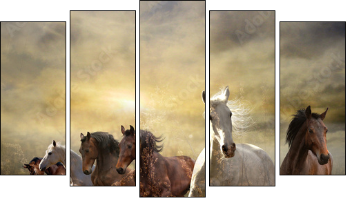 herd of horses galloping free at sunset  - Obraz pięcioczęściowy, Pentaptyk