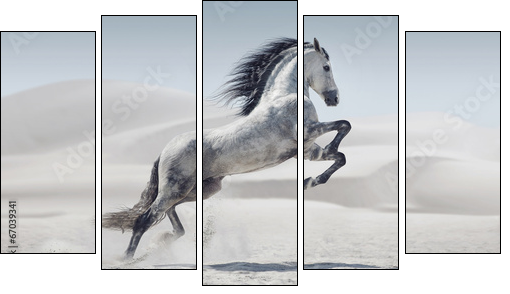 Picture presenting the galloping white horse  - Obraz pięcioczęściowy, Pentaptyk