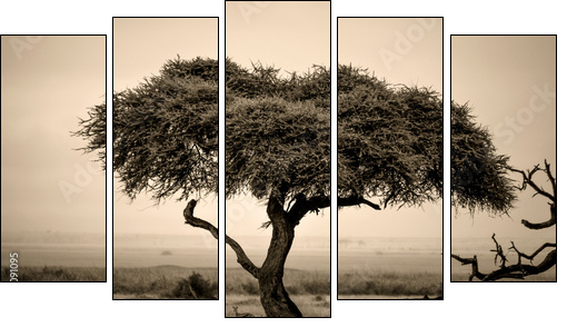 Lone acacia tree with gazelles in sepia  - Obraz pięcioczęściowy, Pentaptyk